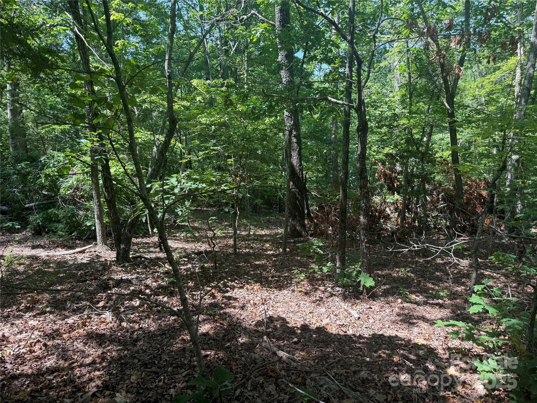 Property Photo: 0 Crescent Ridge Lane 373 NC 28761