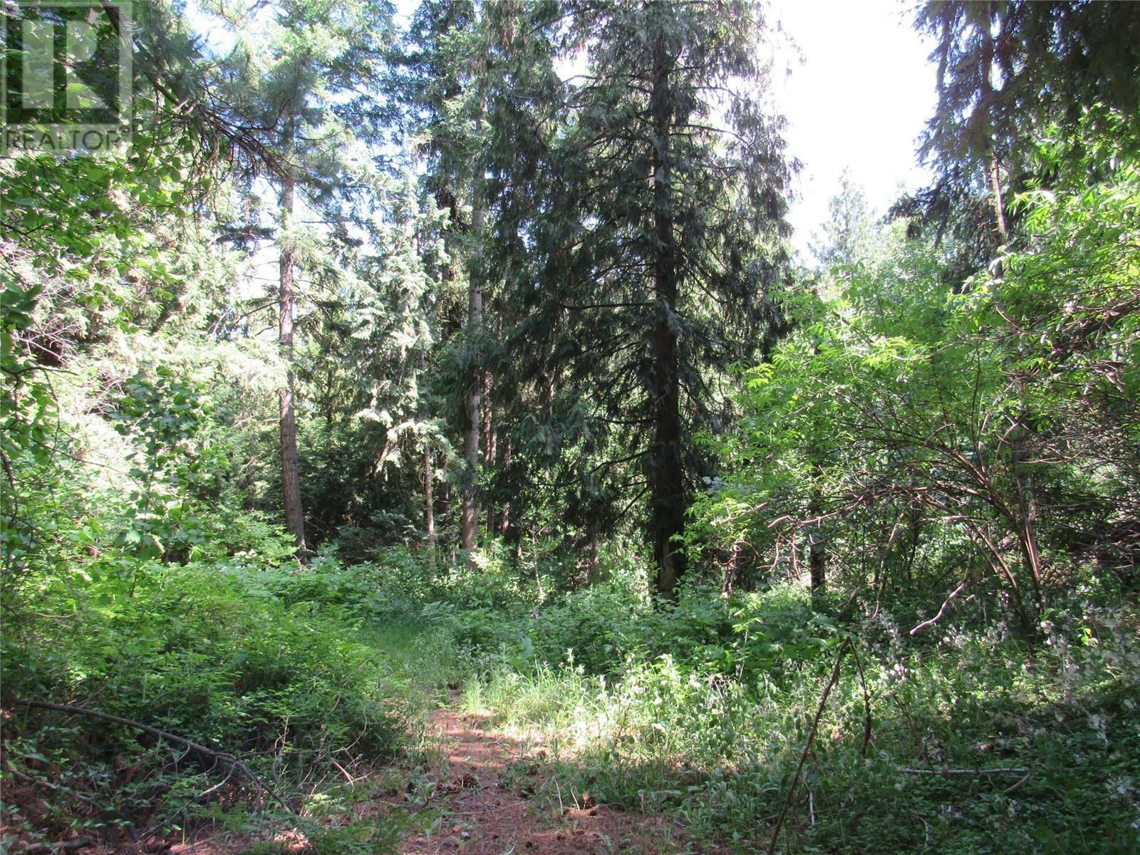 2532 10th Avenue Parcel A  Castlegar BC V1N 3A2 photo