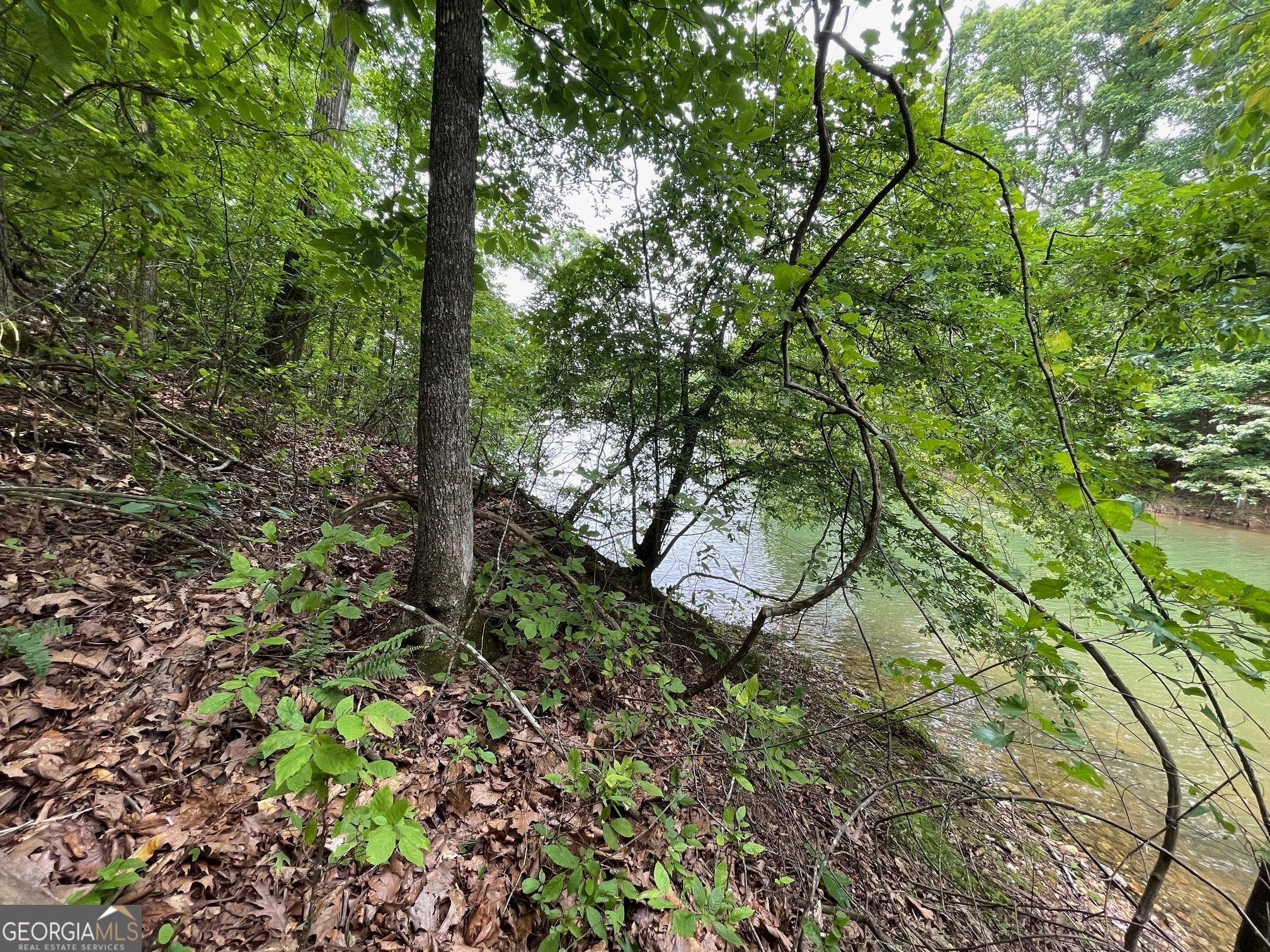 Property Photo: Lot 1682 Point Road SC 29693