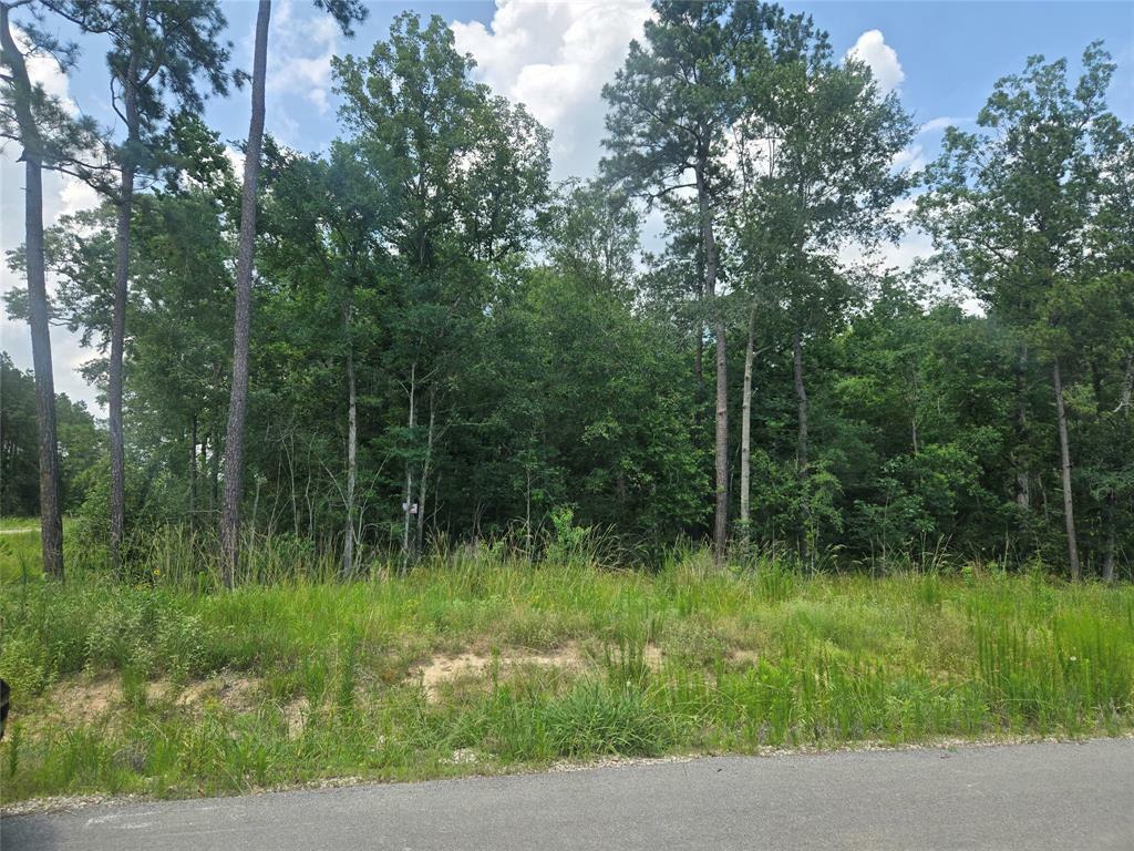 Property Photo: 1712 Road 66115 TX 77535