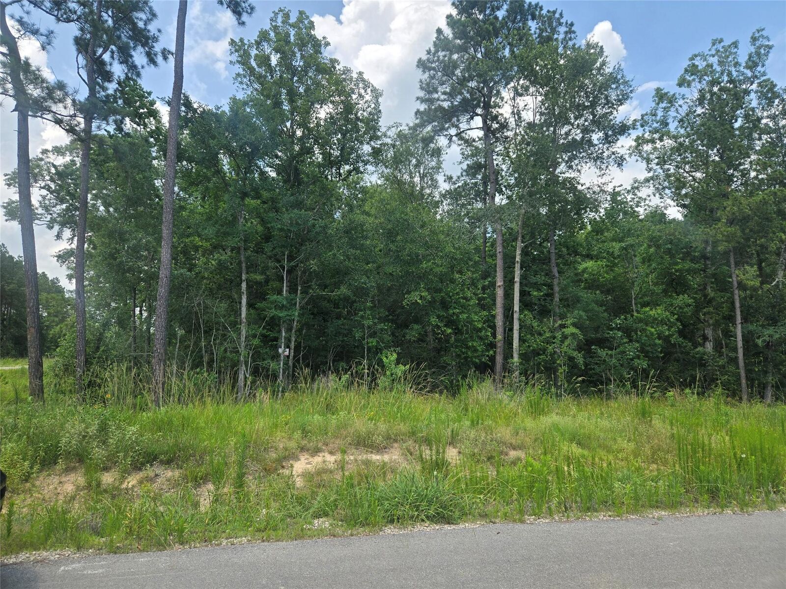 Property Photo: 1712 Road 66115 TX 77535