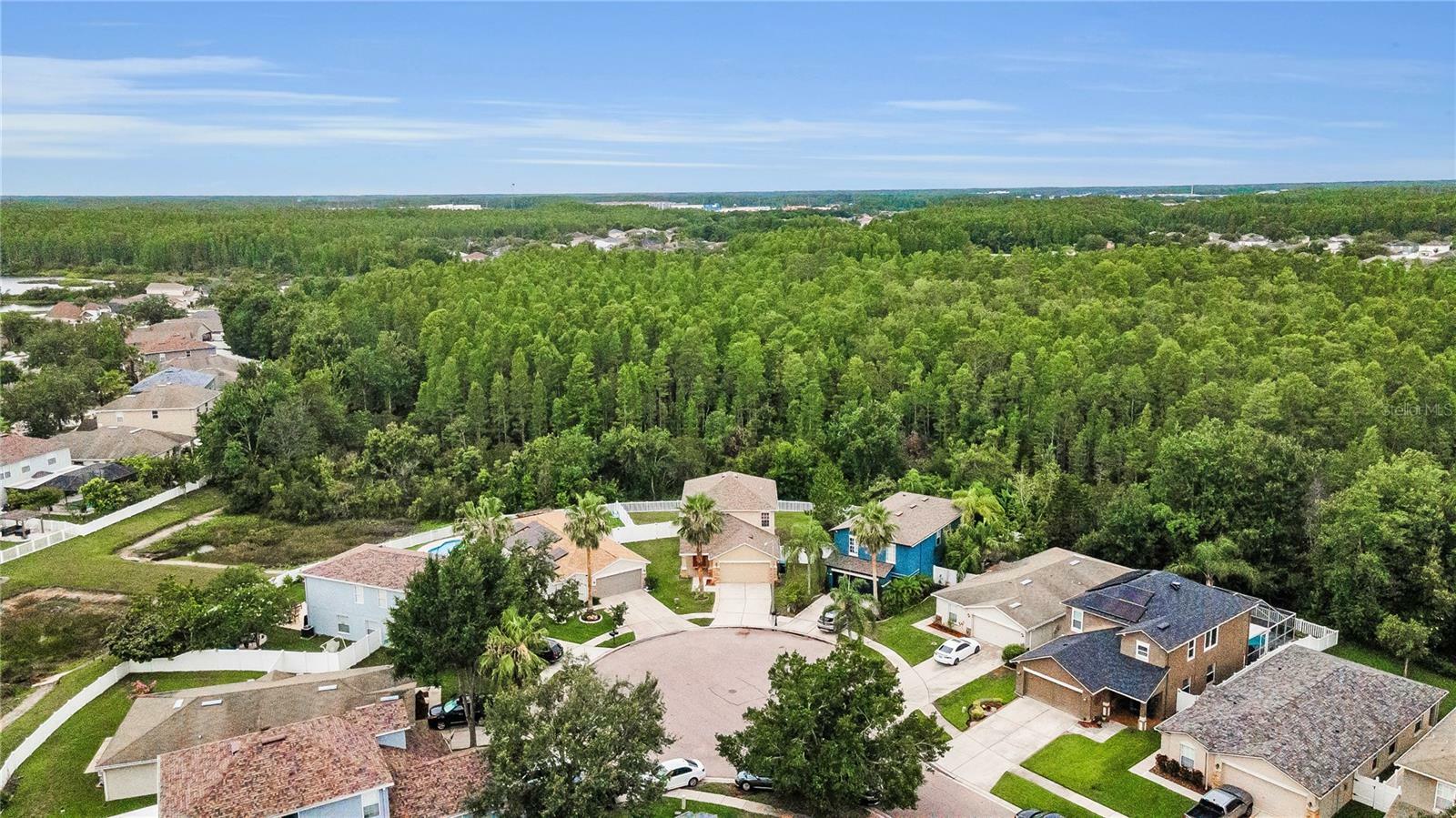 Property Photo: 3305 Hoylake Court FL 34638