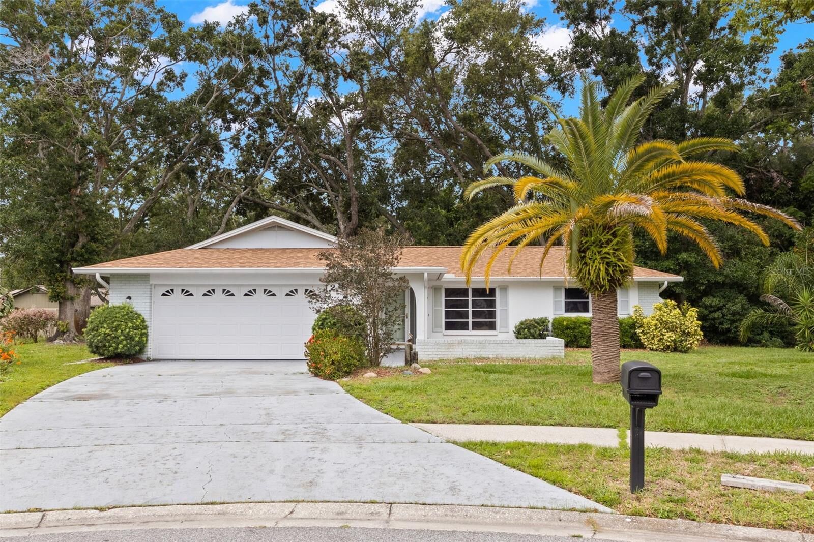 Property Photo:  2956 Sutherland Court  FL 34684 