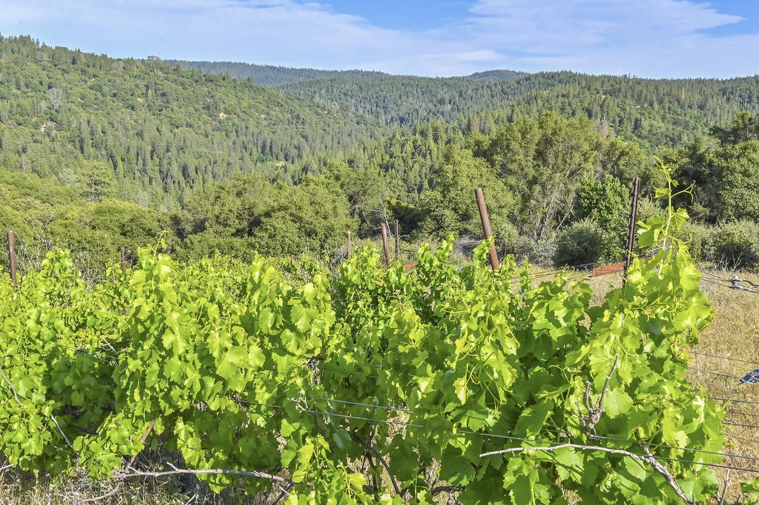 Property Photo: 7240 Happy Valley Road CA 95684