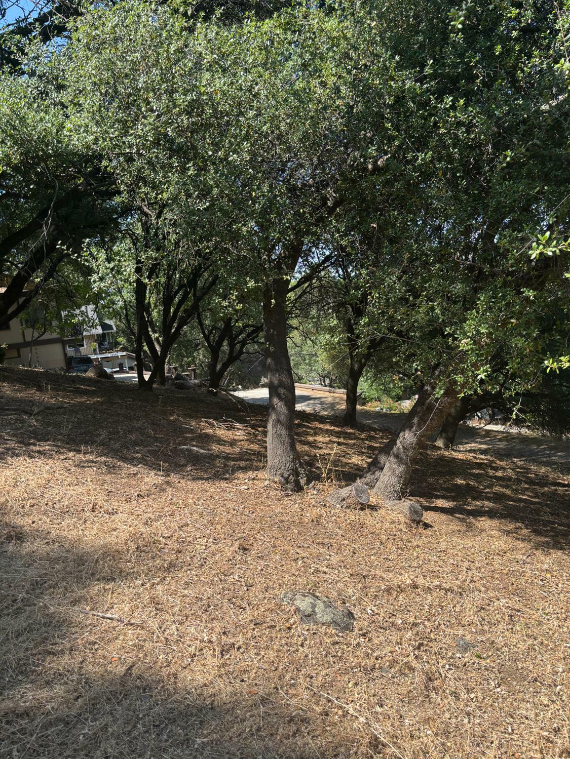 Property Photo: 12964 Roadrunner Dr CA 95946