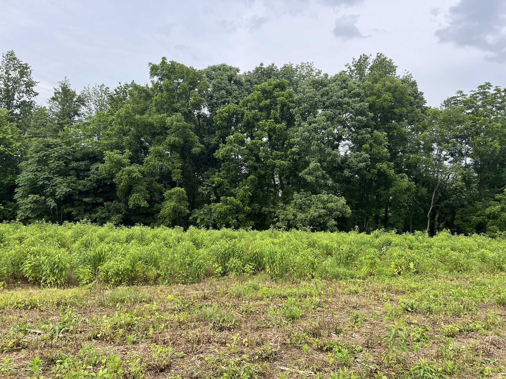Property Photo:  5 Annie Hollow Rd  TN 37186 