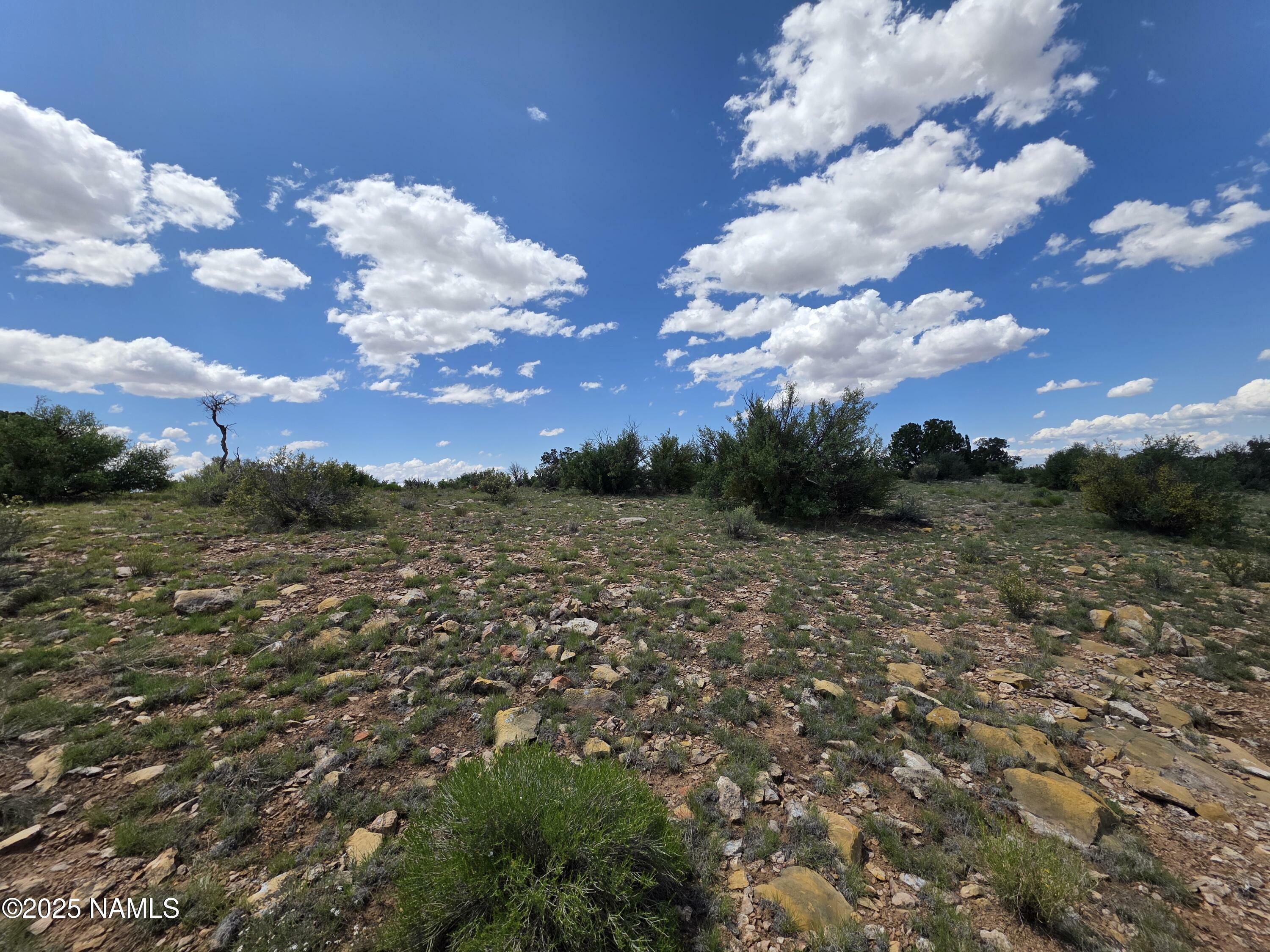 Property Photo:  3561 S Red Butte Trail  AZ 86046 
