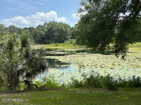 Property Photo:  251 Taylor Fury Road  FL 32181 