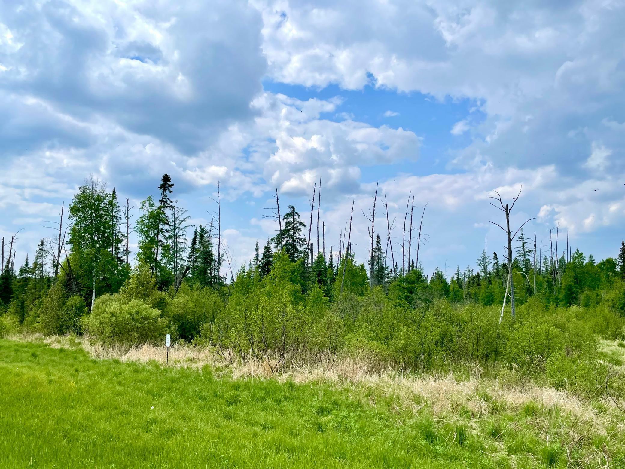 Property Photo: Tbd N Plantangenet Road SE MN 56601