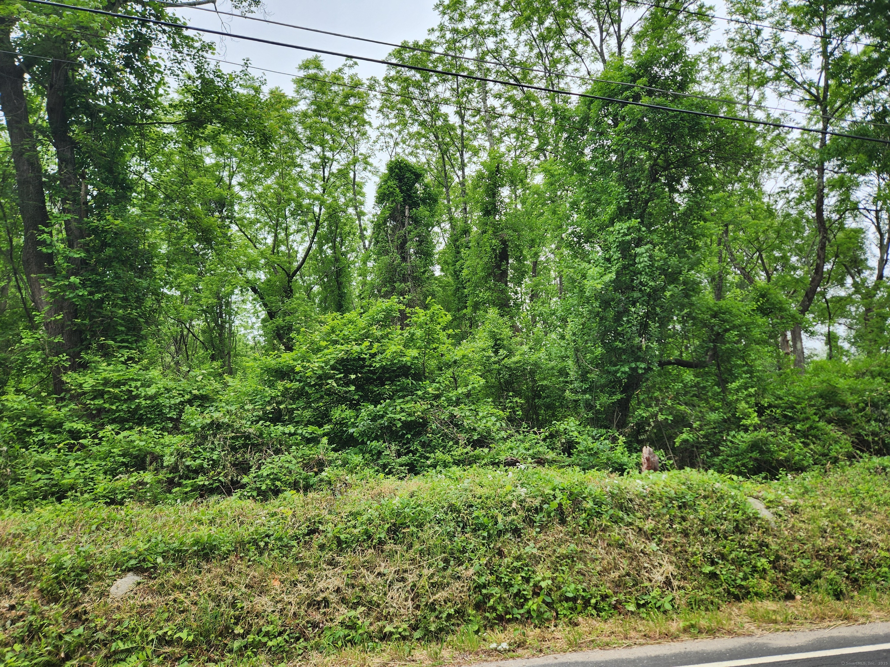 Property Photo:  85 Loomis Road  CT 06043 