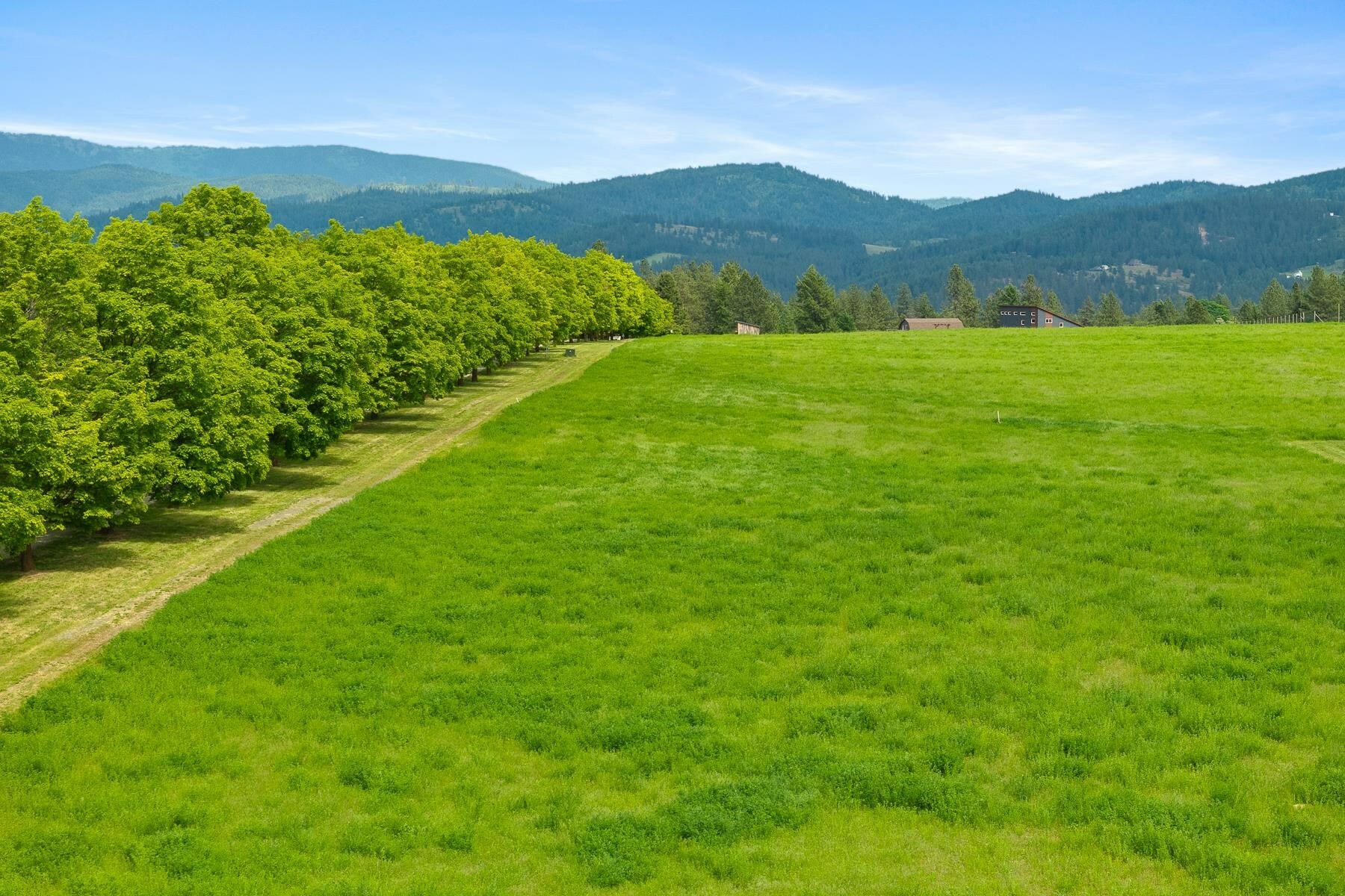 Property Photo: 10621 E Day Mt Spokane Rd South Parcel WA 99021