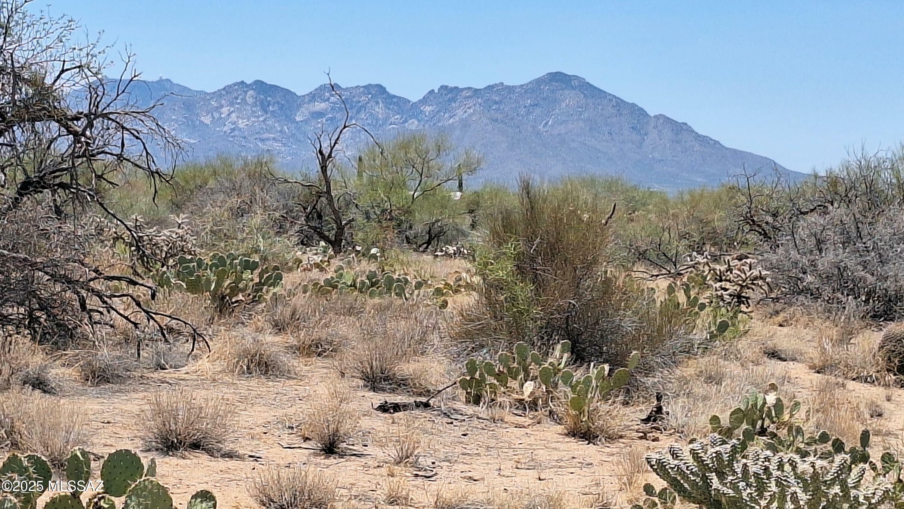 Property Photo: 14454 S Ezra Place AZ 85736