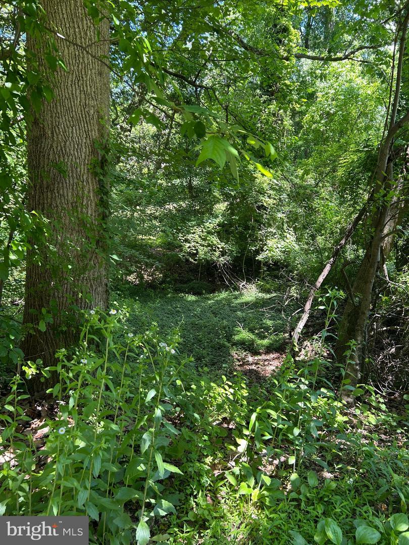 Property Photo:  Elm Trail  MD 21032 