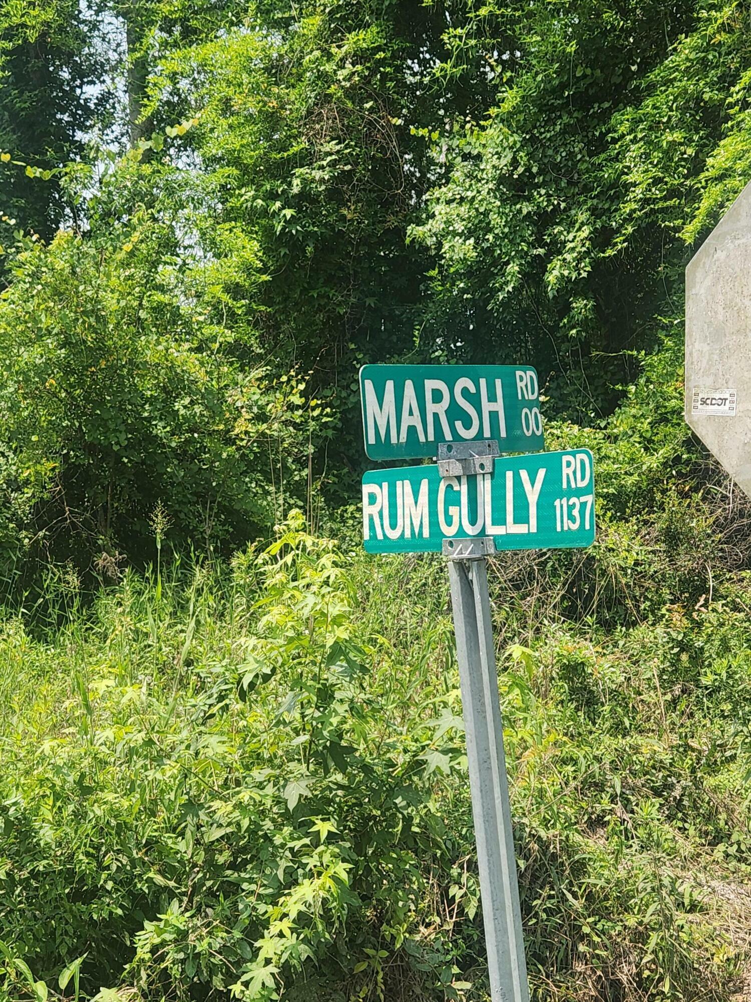 Property Photo:  0 Marsh Rd Interior Parcel Road  SC 29929 