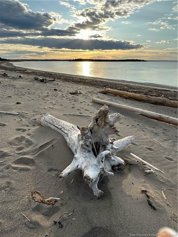 Property Photo: 251 Bayshore NB E2A 6A5