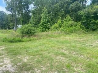 Property Photo: 80 Paris Circle TX 77364