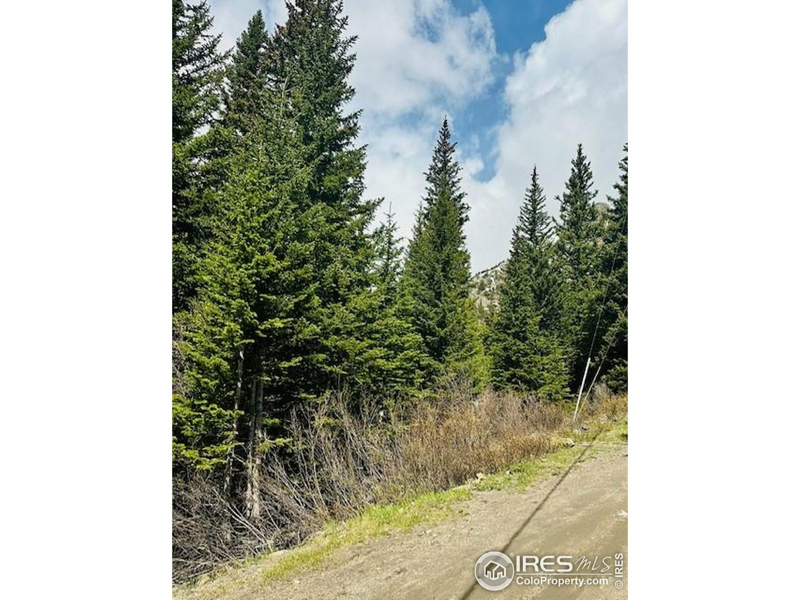 Property Photo:  0 Mine Rd  CO 80452 