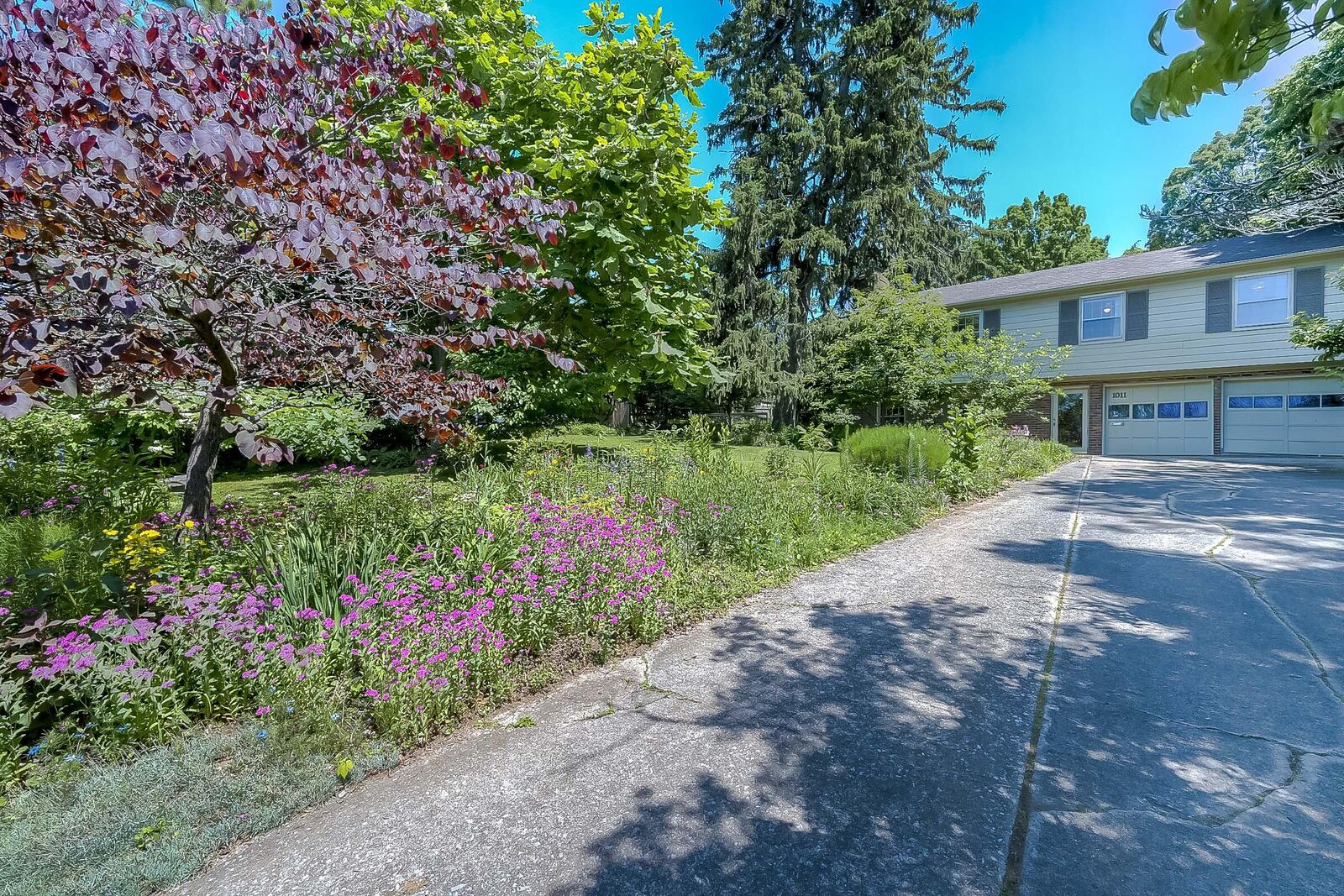 Property Photo: 1011 Celia Lane KY 40504