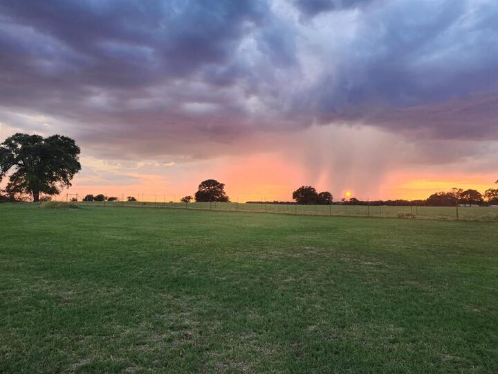 Property Photo:  131 Brock Lane  TX 76066 