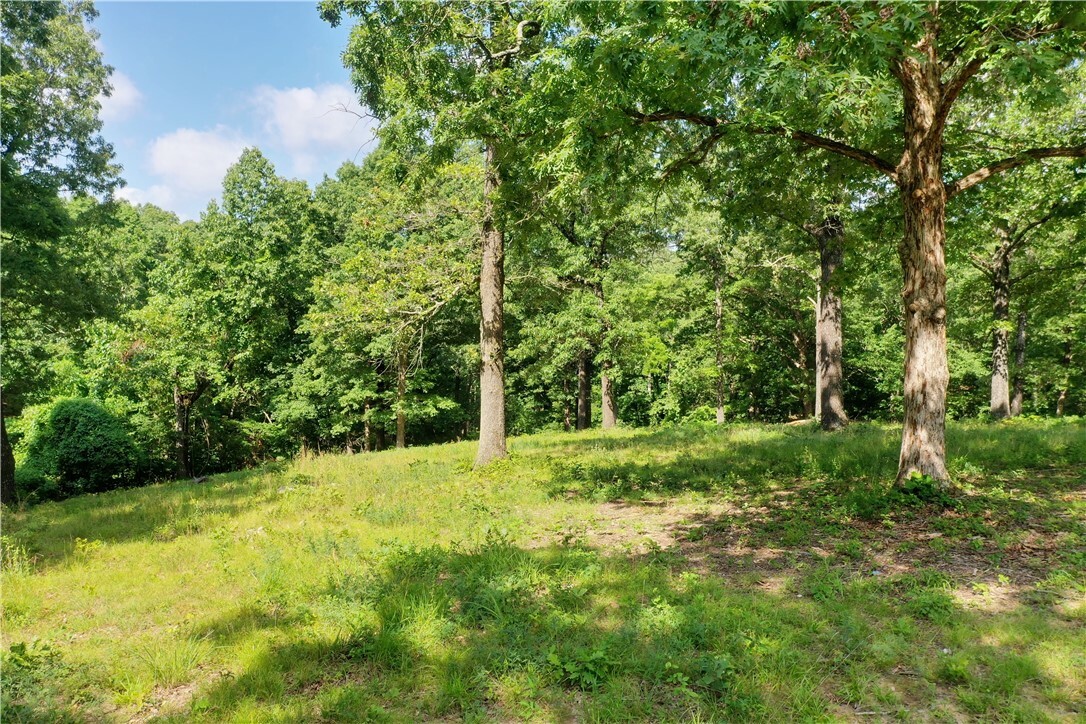 Property Photo: Lot 10 Oak Leaf Drive AR 72601