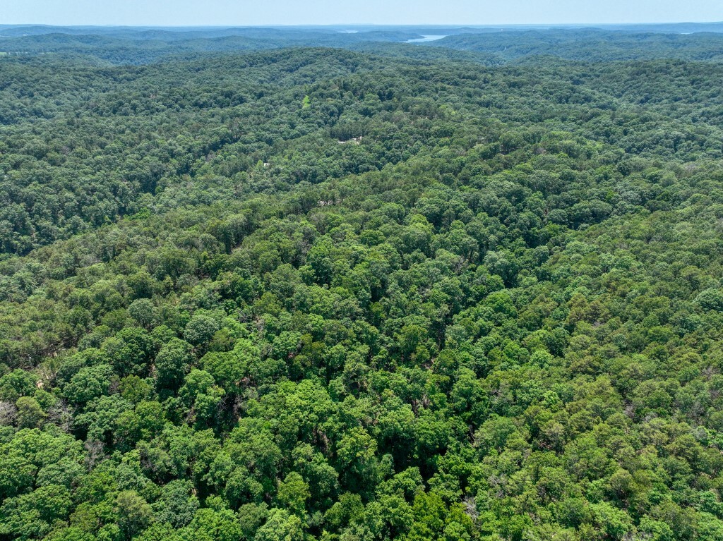 Property Photo: Pine Ridge Lane / C Street AR 72631
