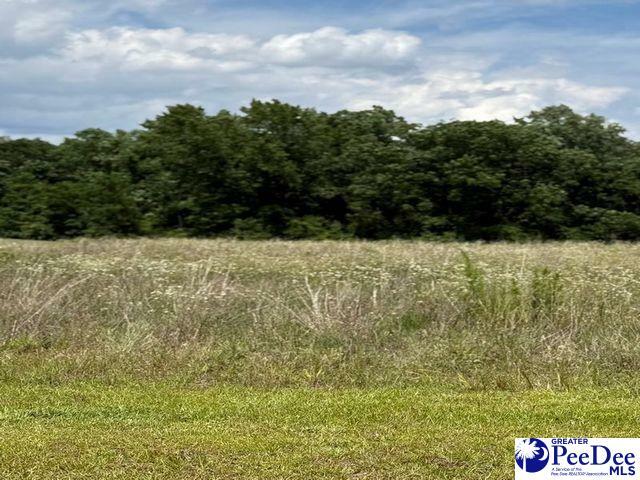 Property Photo: Lot 22 Govrnor'S Run SC 29069