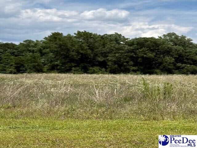 Property Photo: Lot 22 Govrnor's Run SC 29069