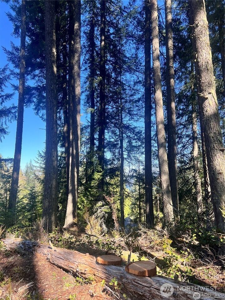 Property Photo:  1  Southern Court  WA 98229 