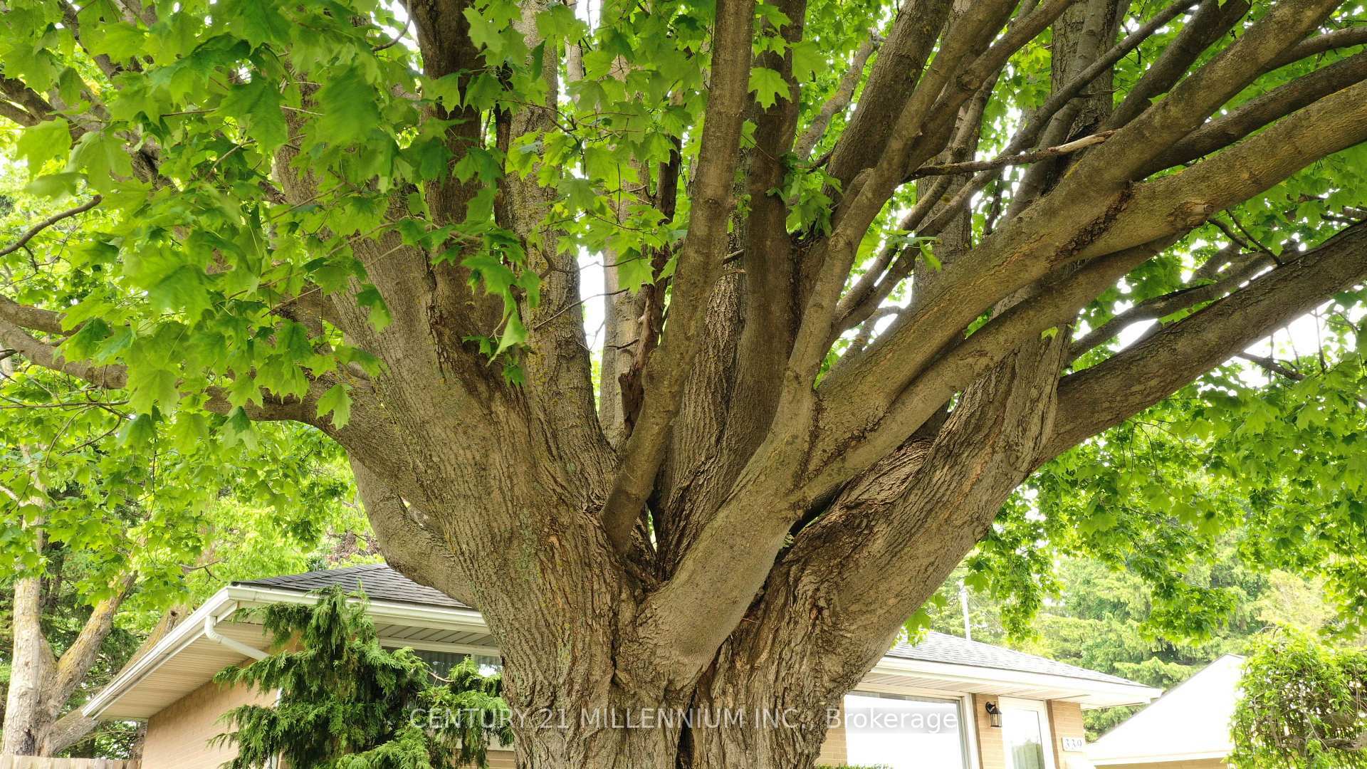 Property Photo: 339 Broadway N/A ON L9W 1L5