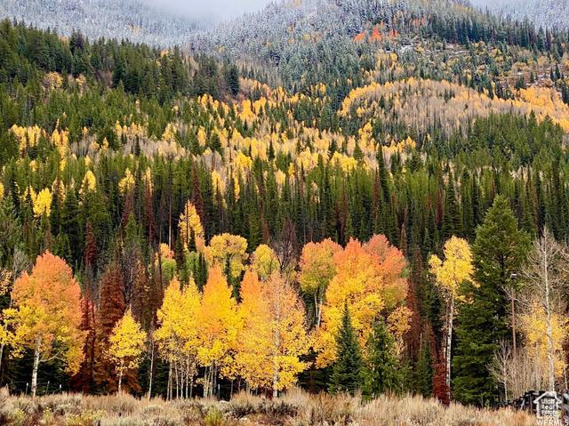 Property Photo: Unknown UT 84055