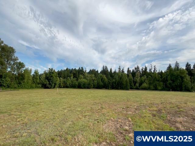 Property Photo: 481 SW Oregon Falls Dr OR 97338