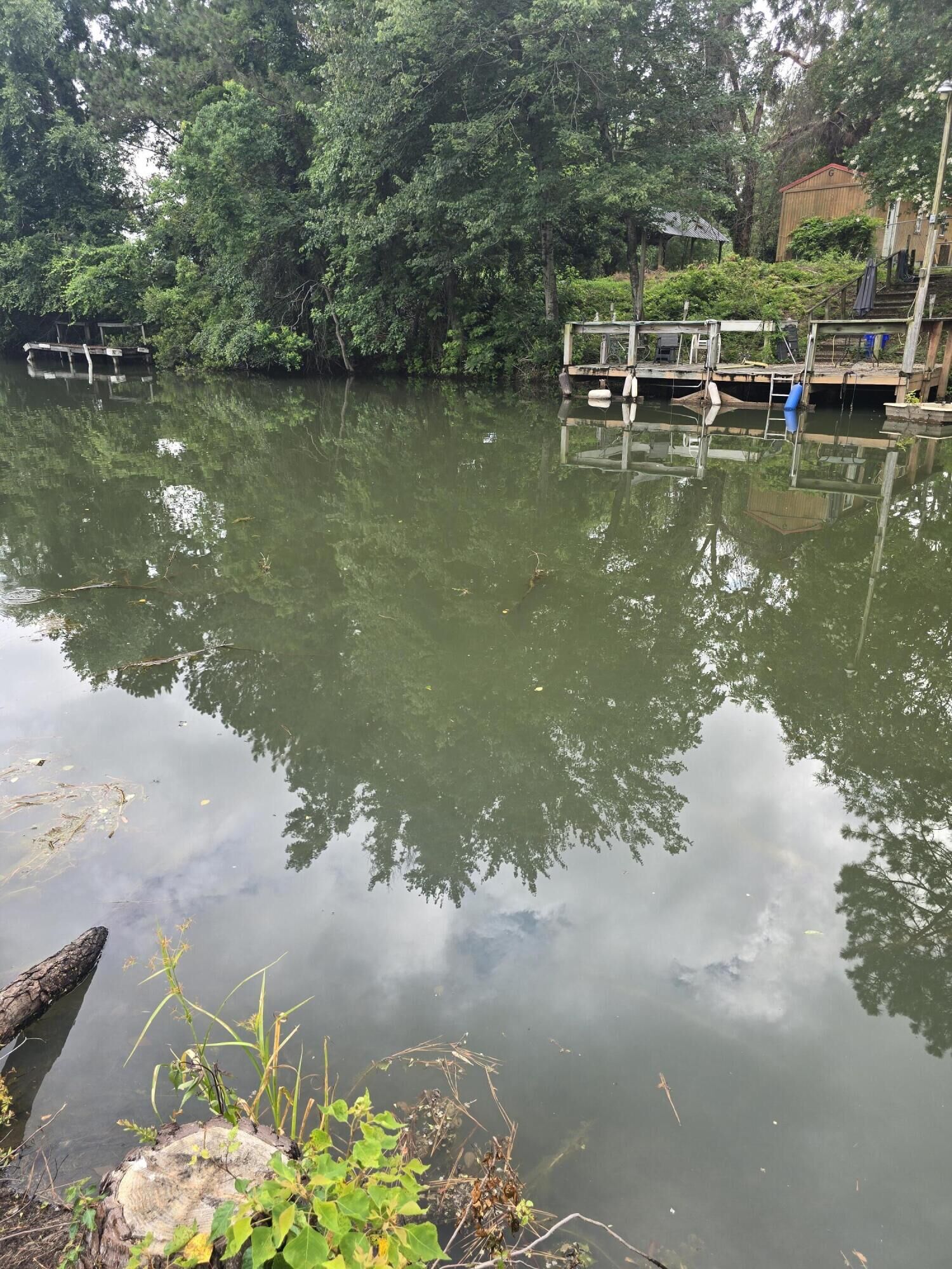 Property Photo: 1093 Denwood Lane SC 29148