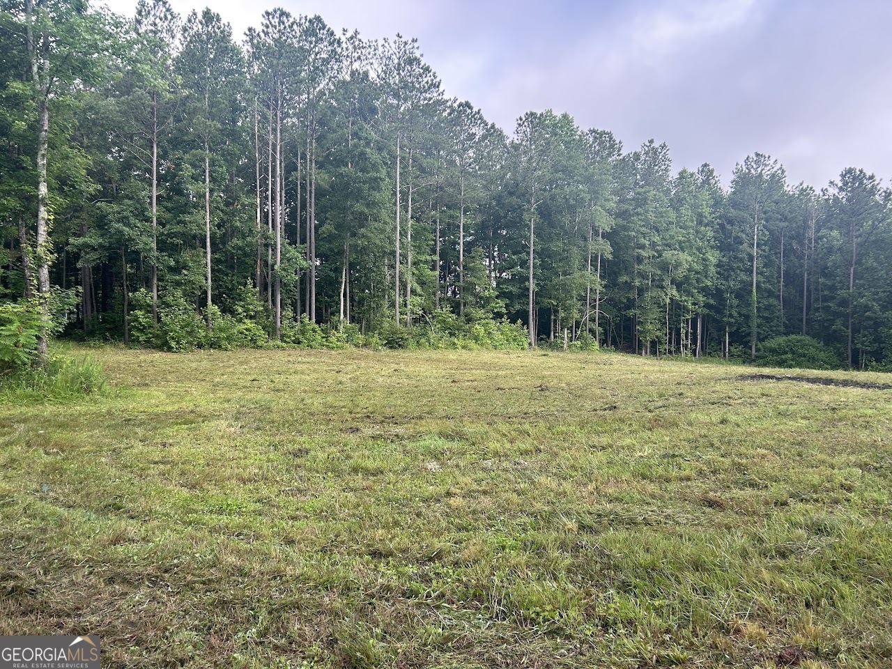 Property Photo: 1949 Roopville Veal Road GA 30170