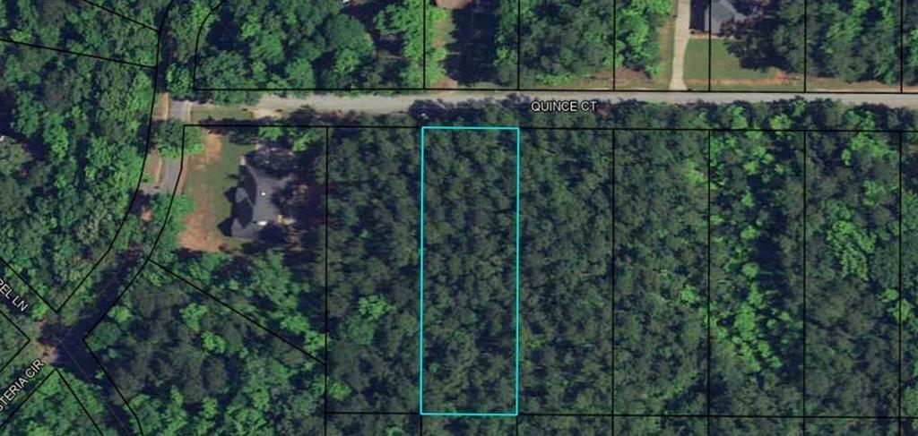 Property Photo:  Blk 14 Lot 05 Quince Court  GA 31831 