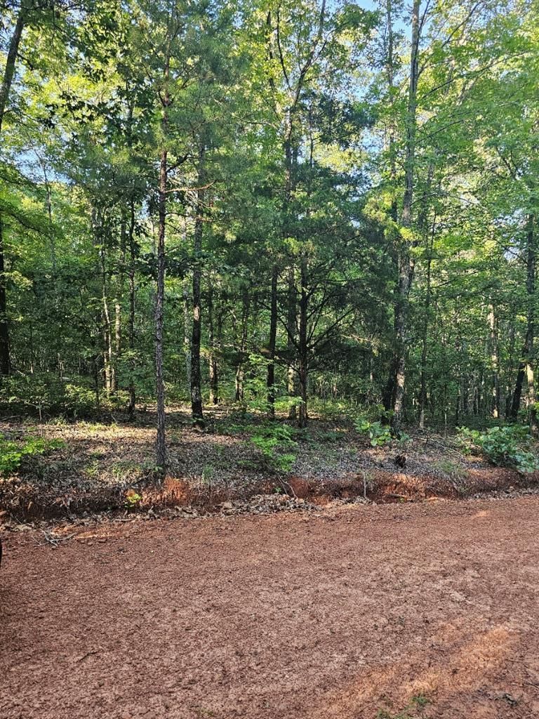 Property Photo:  Blk 33 Lot 06 Juniper Way  GA 31831 
