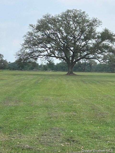 0 Gro Racca Road  Iowa LA 70647 photo