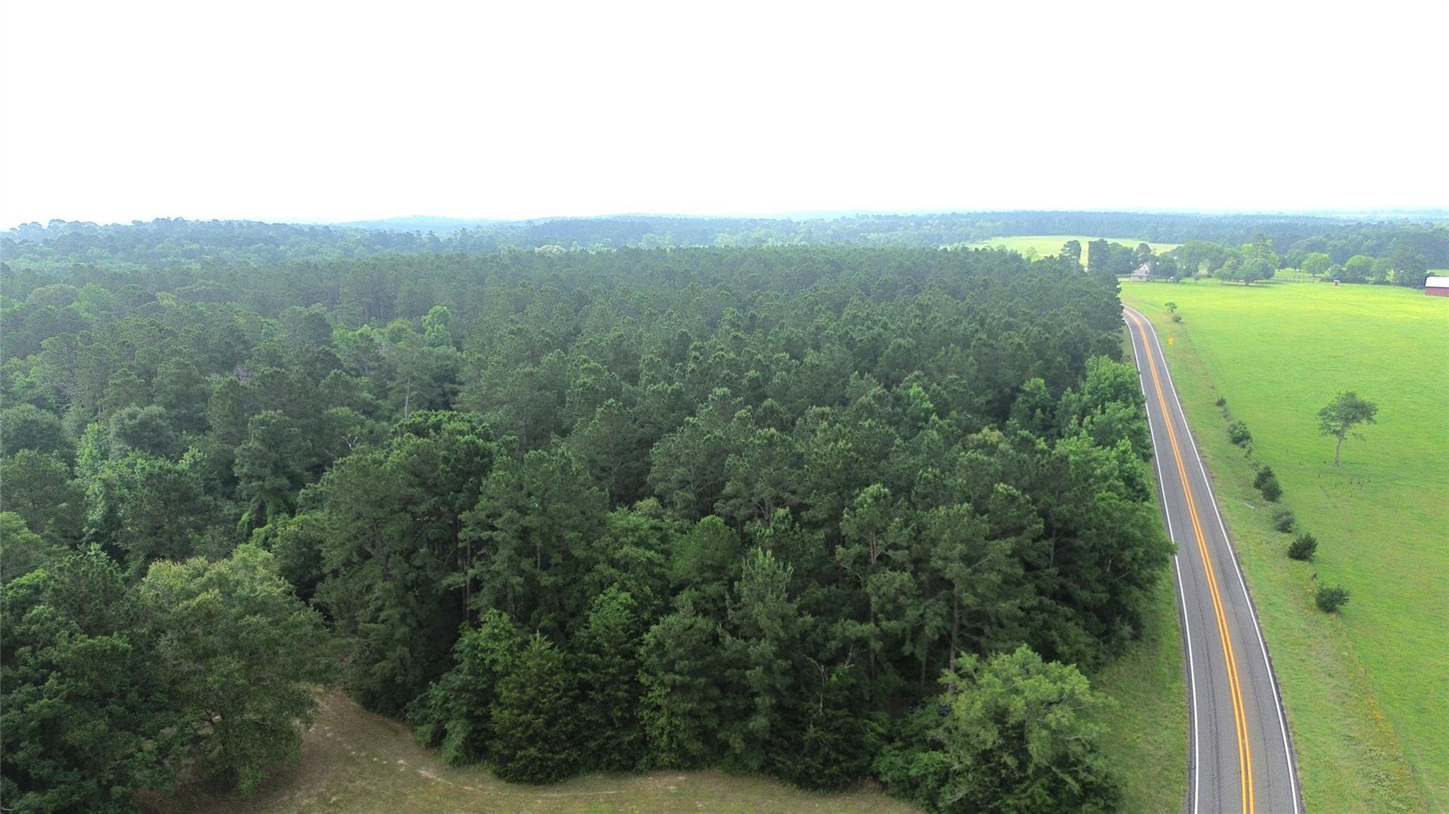 Property Photo: Tbd Fm 228 TX 75844