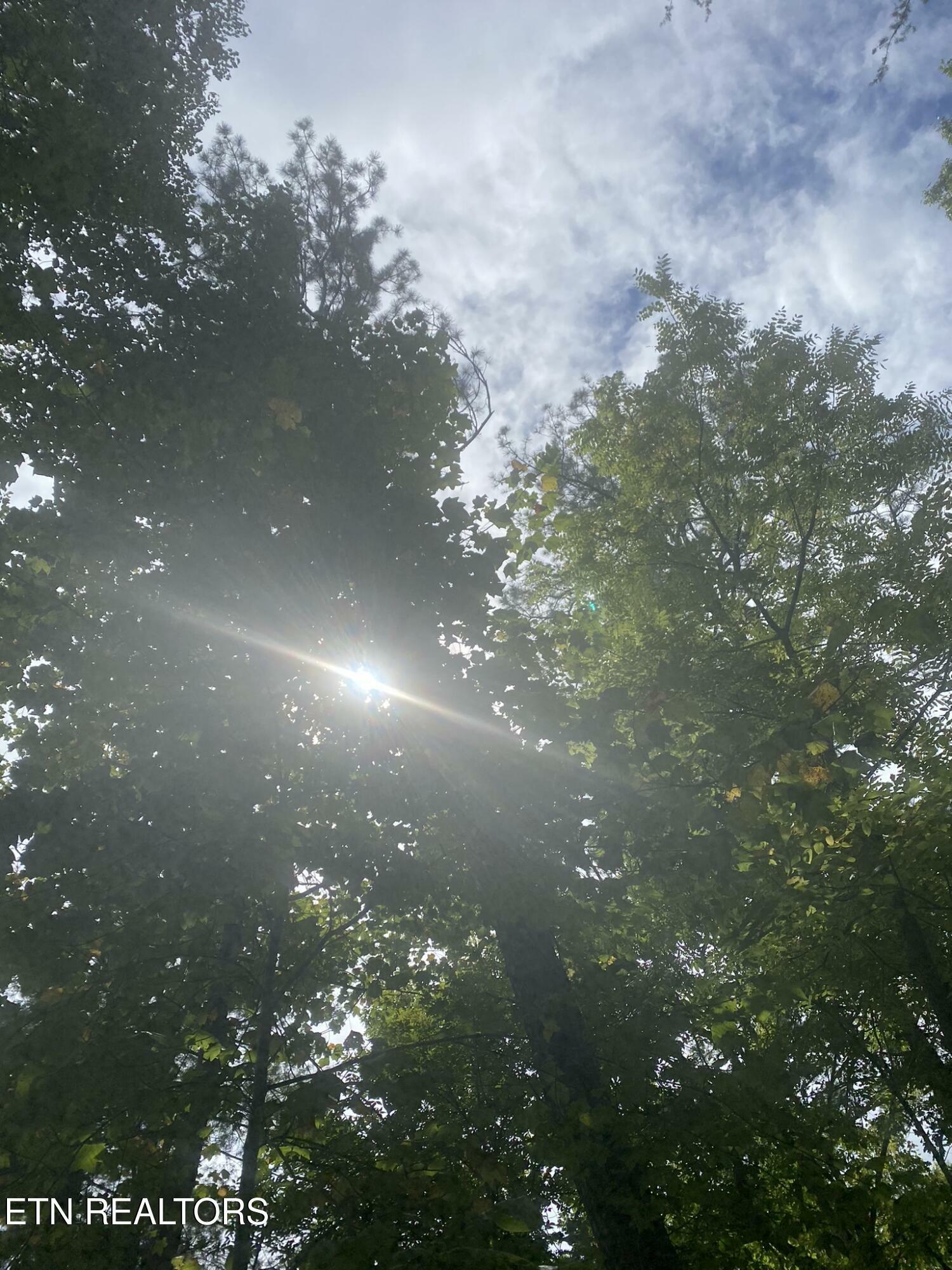 Property Photo: Lot 9 Sunset Rd TN 37876