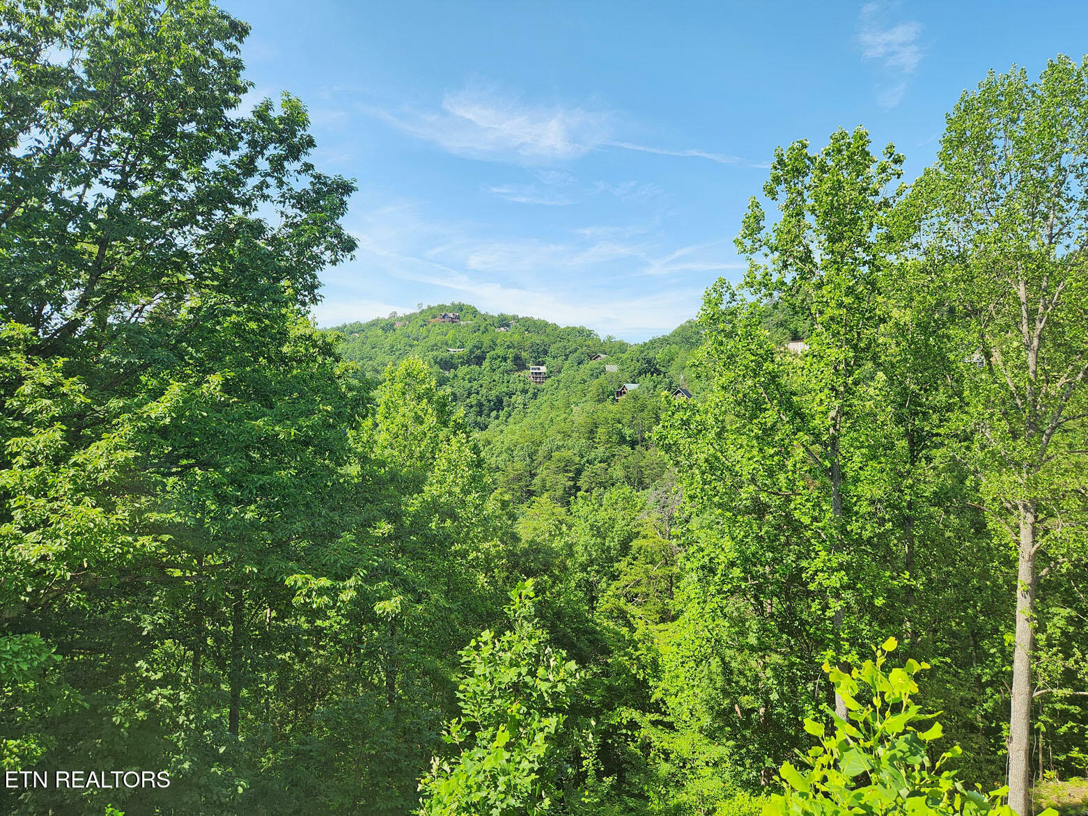 Property Photo: 3059 Engle Town Rd TN 37862