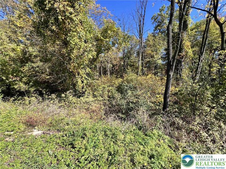 Property Photo:  Pa Route 33  PA 18091 