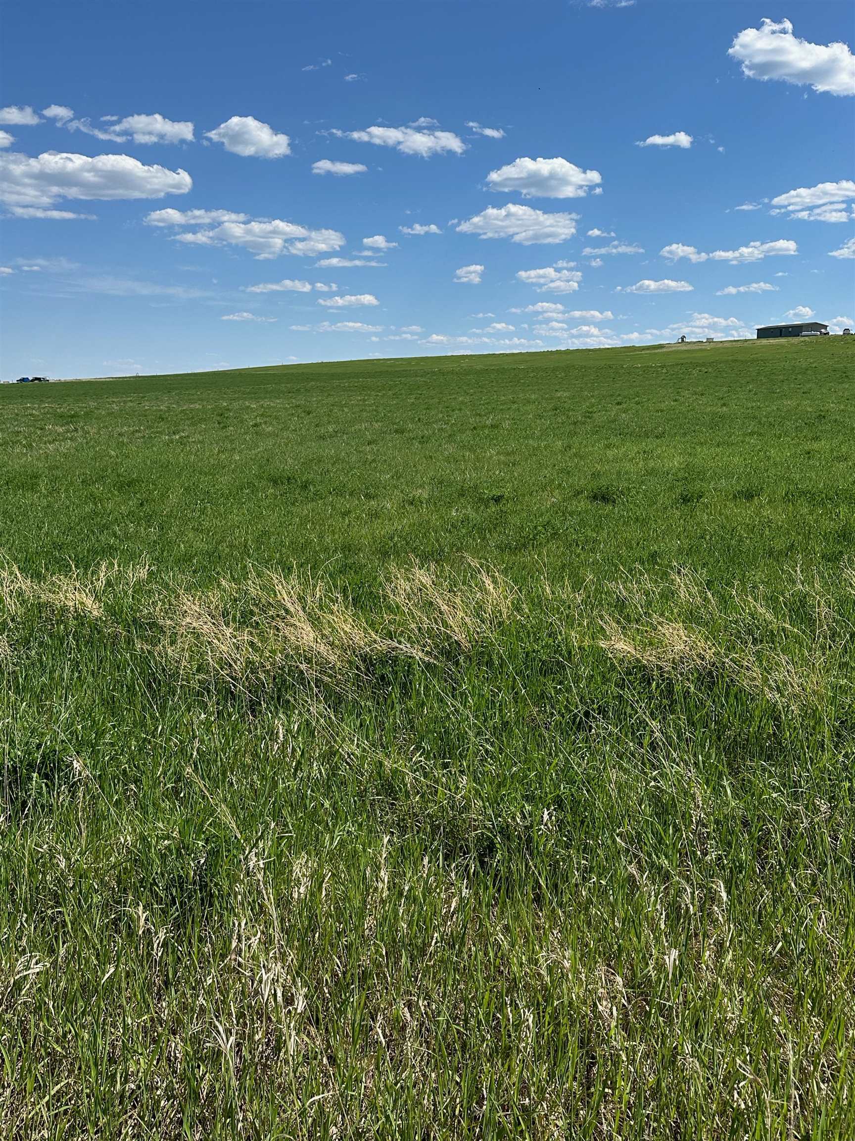 Tbd Bighorn Road  Whitewood SD 57793 photo