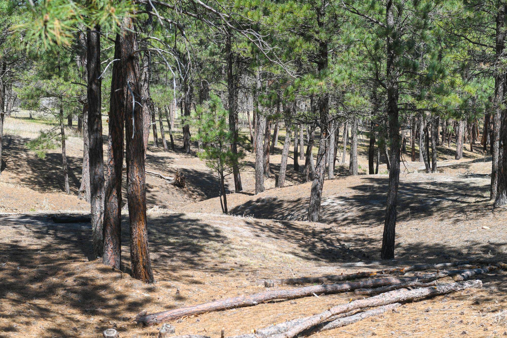 Property Photo: Lot L3 SD 57717