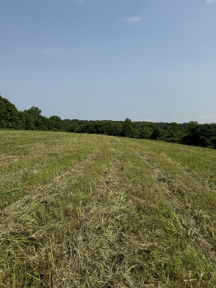 Property Photo: 8 Oakmere Lane TN 37083