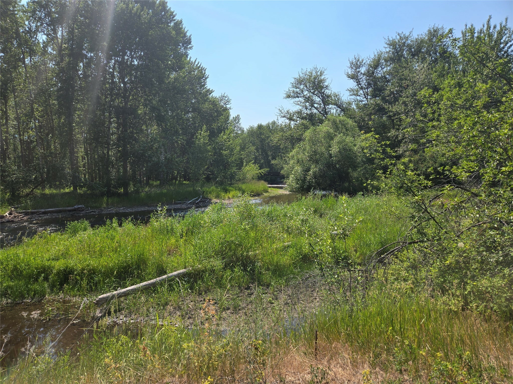 Property Photo: Tbd Kester Lane MT 59847