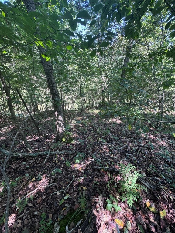 Property Photo: Tbd Gretton Lane AR 72714