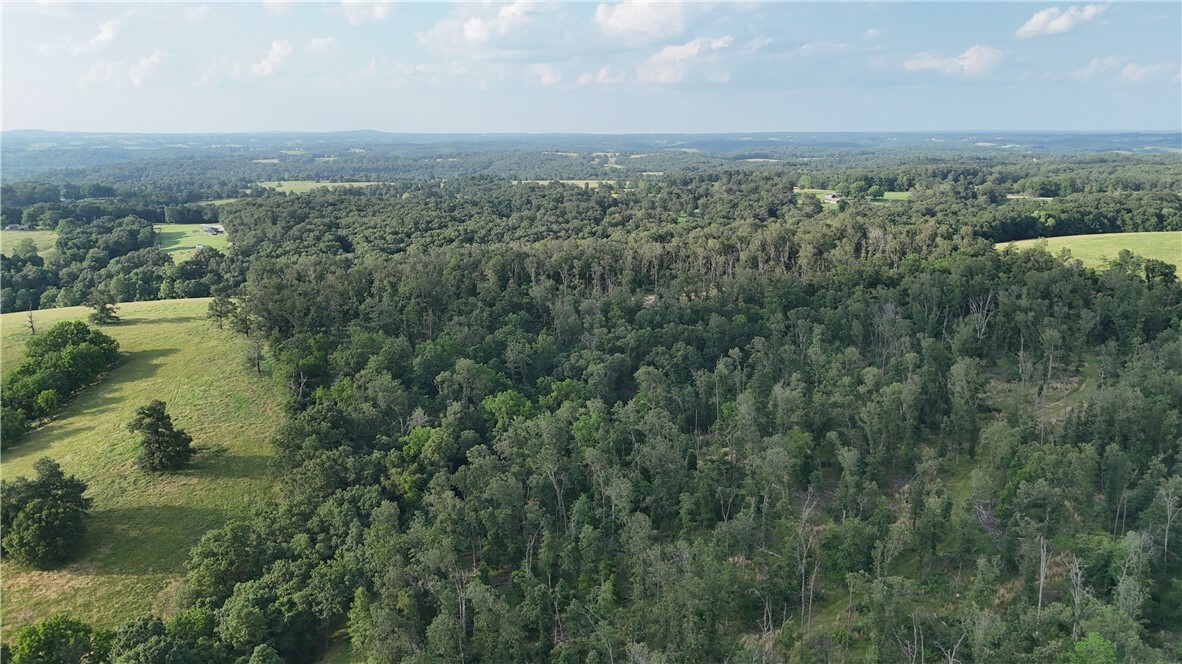 001 Madison 8590  Huntsville AR 72740 photo