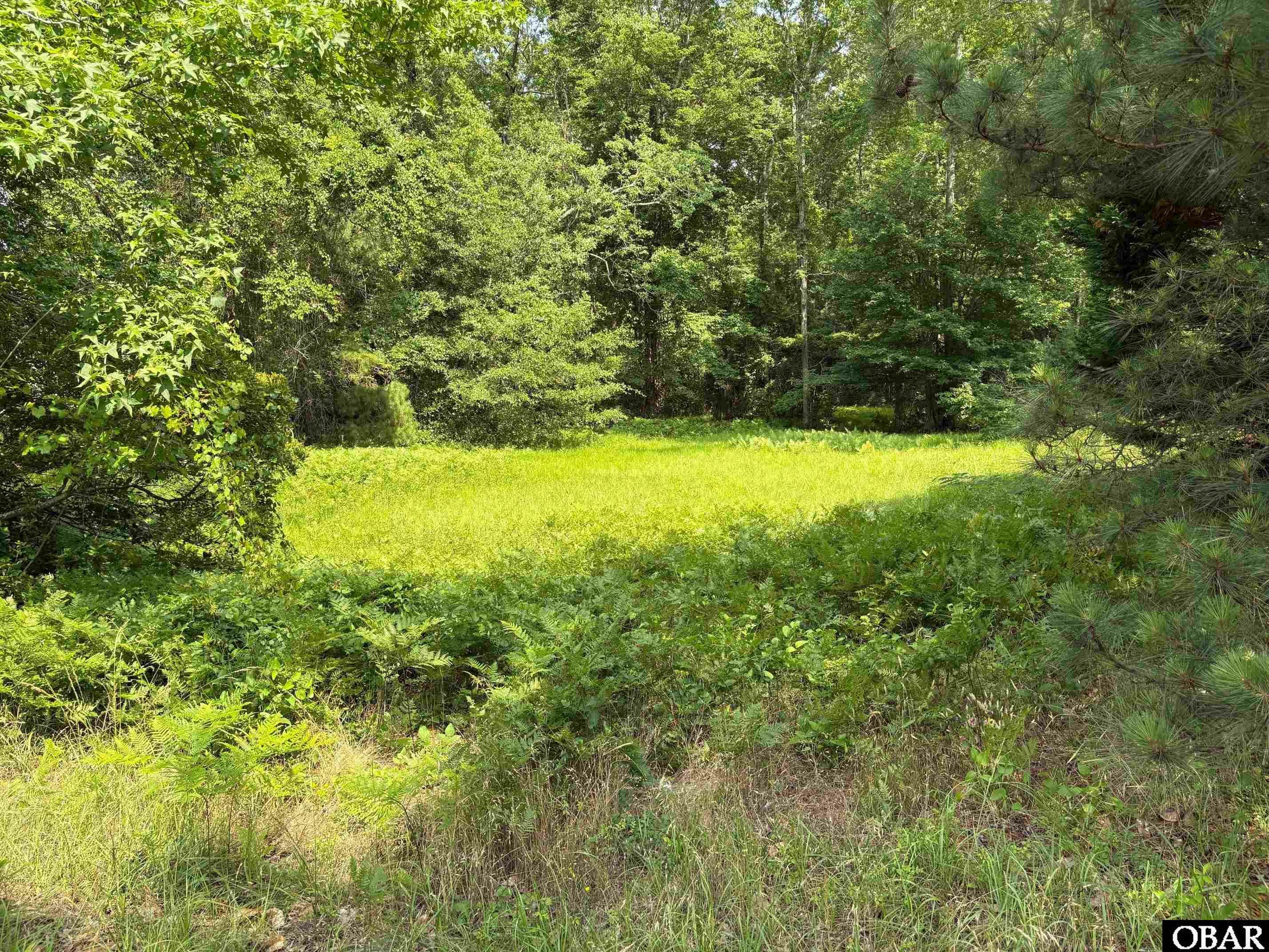Property Photo: 942 Burnside Road NC 27954