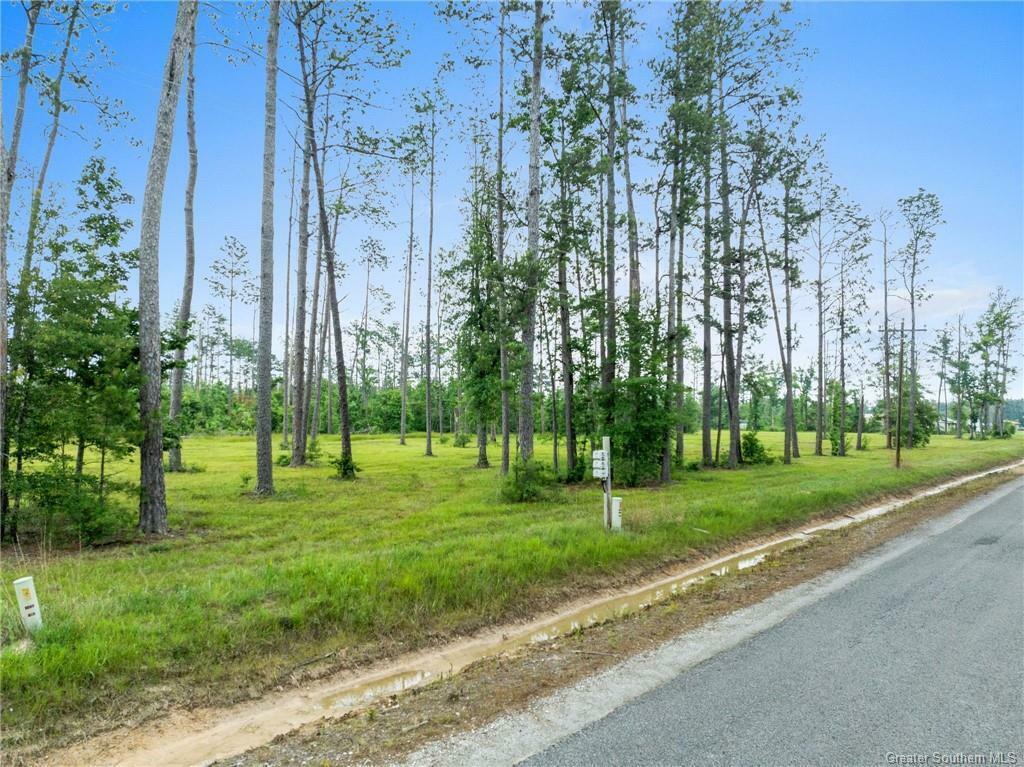 Property Photo: Duke Hollingsworth Rd Tract 4 LA 70657