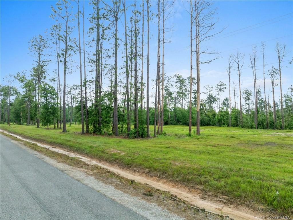 Property Photo:  Lonnie Cole Rd Tract 8  LA 70657 