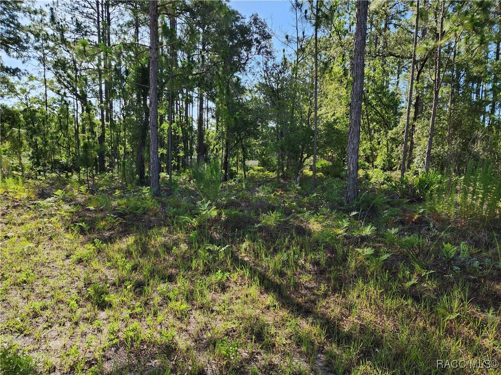 Property Photo: 1476 W Diamond Drive FL 34434